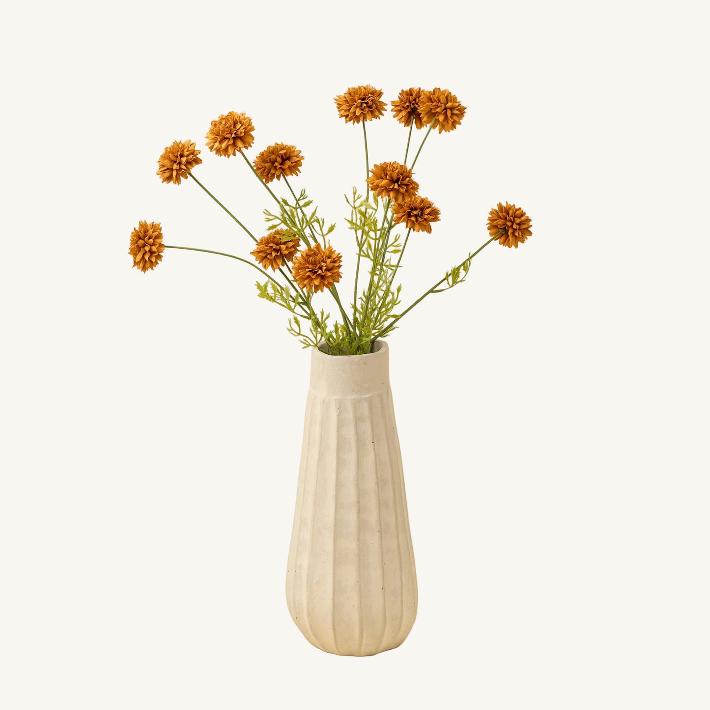 Mini Chrysanthemum
