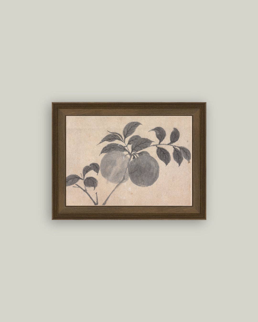 Branch of Fruit Bearing Tree Framed Antique