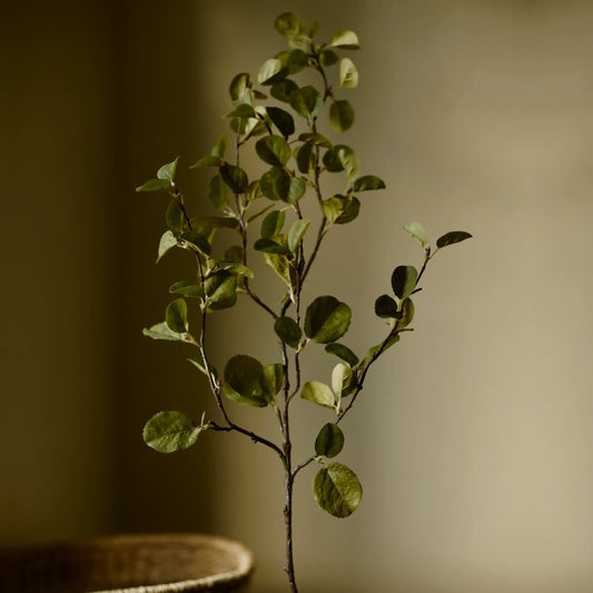 The Cascade faux serviceberry spray with small rounded green leaves on a slender branching stem