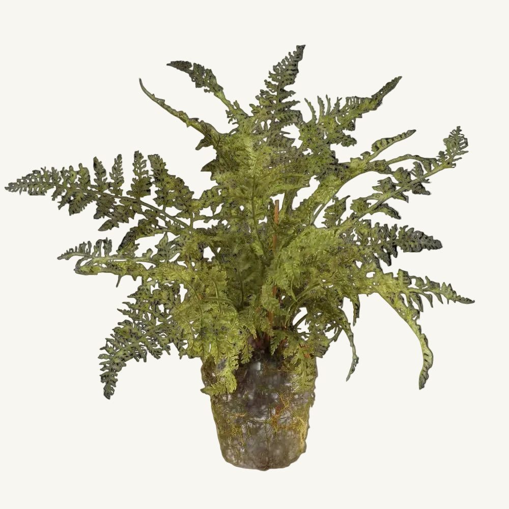 Soft Fern Drop-In - 13"