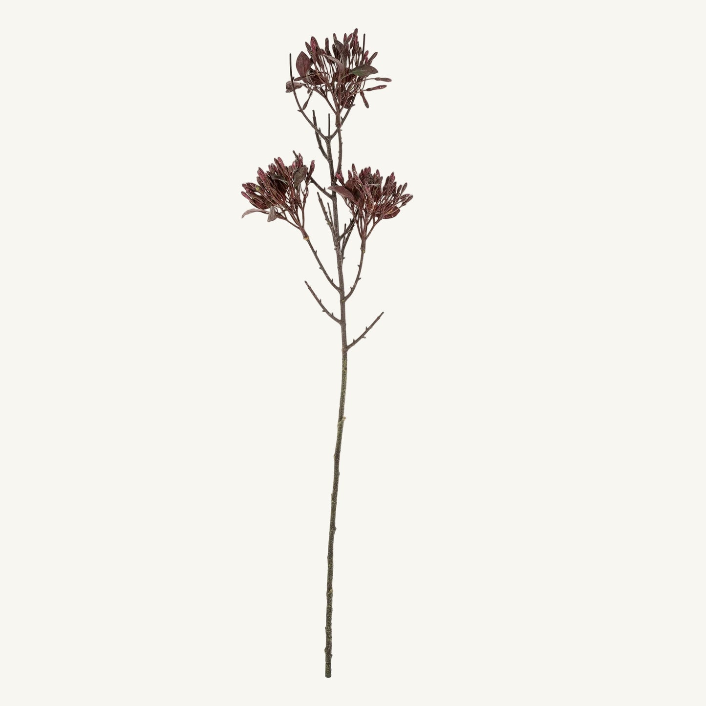 Wild Flower Spray