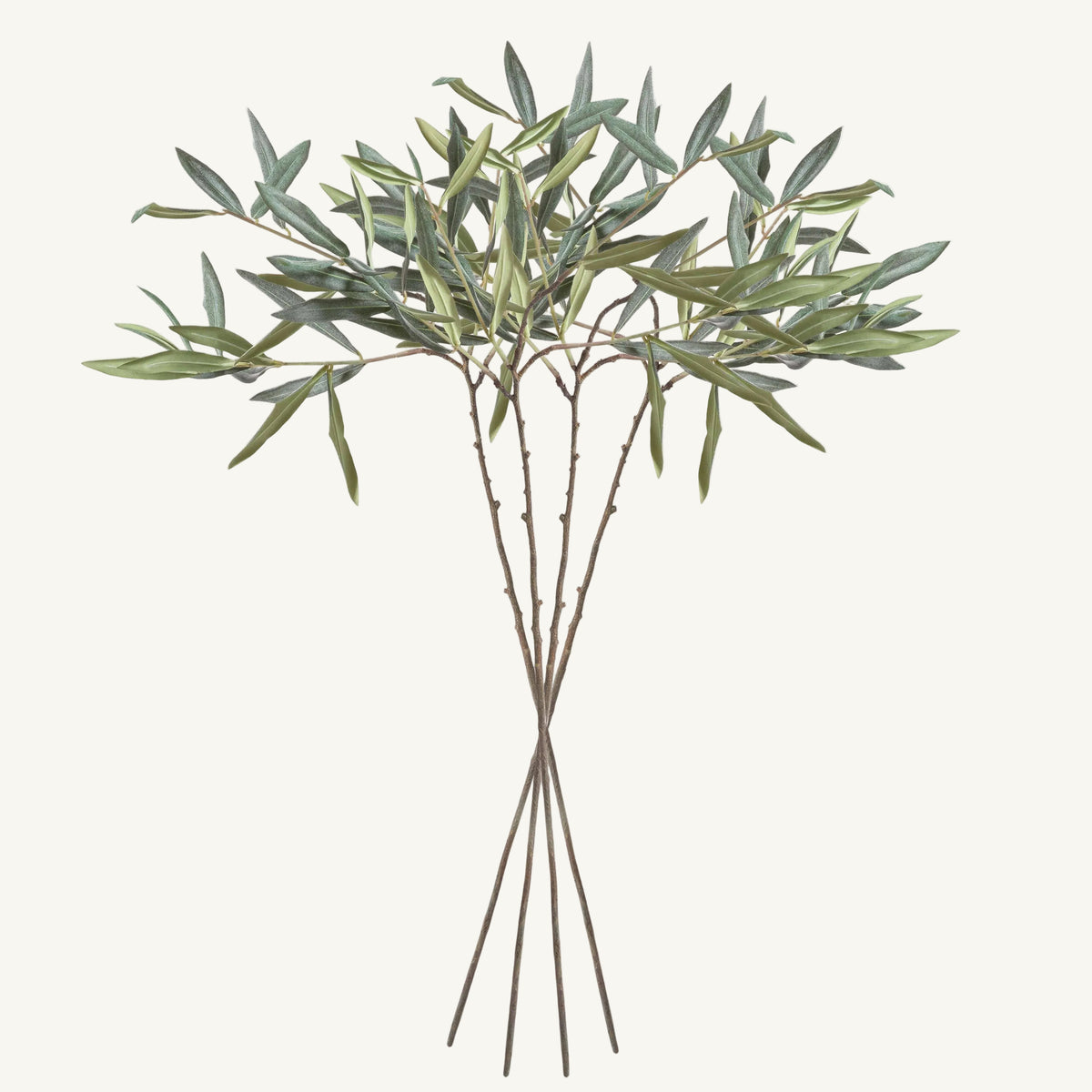 OLIVE STEMS