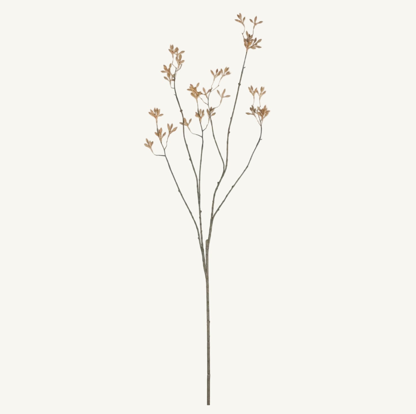 Artificial Kangaroo Paw