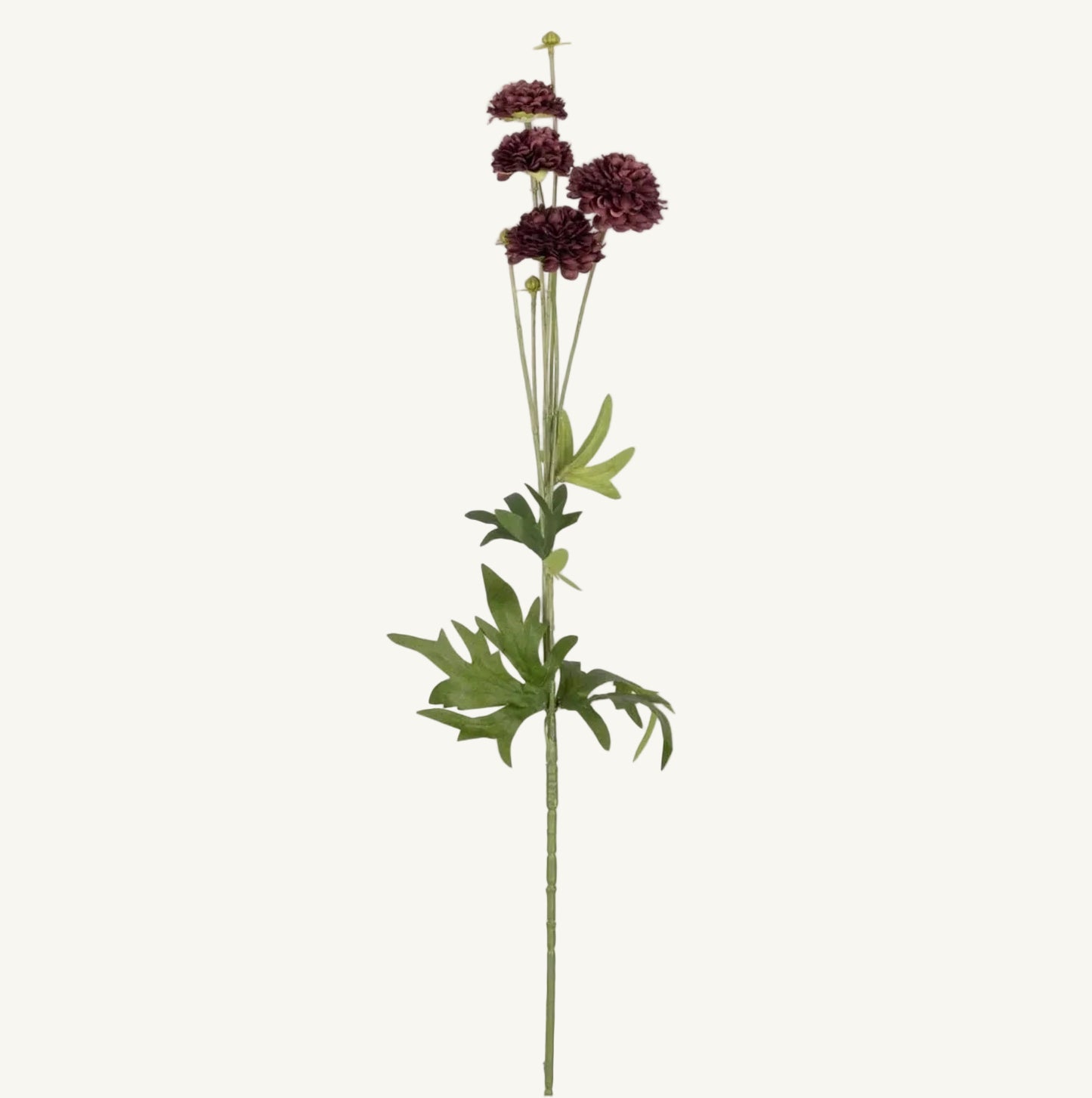 Artificial Clove Stem