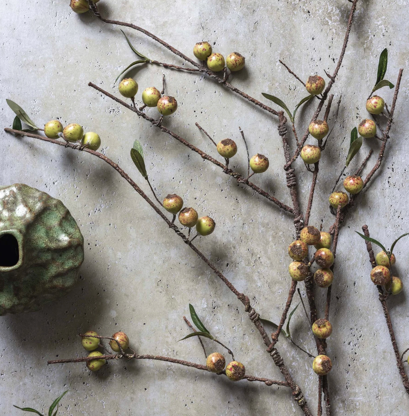 Rosehip Branch