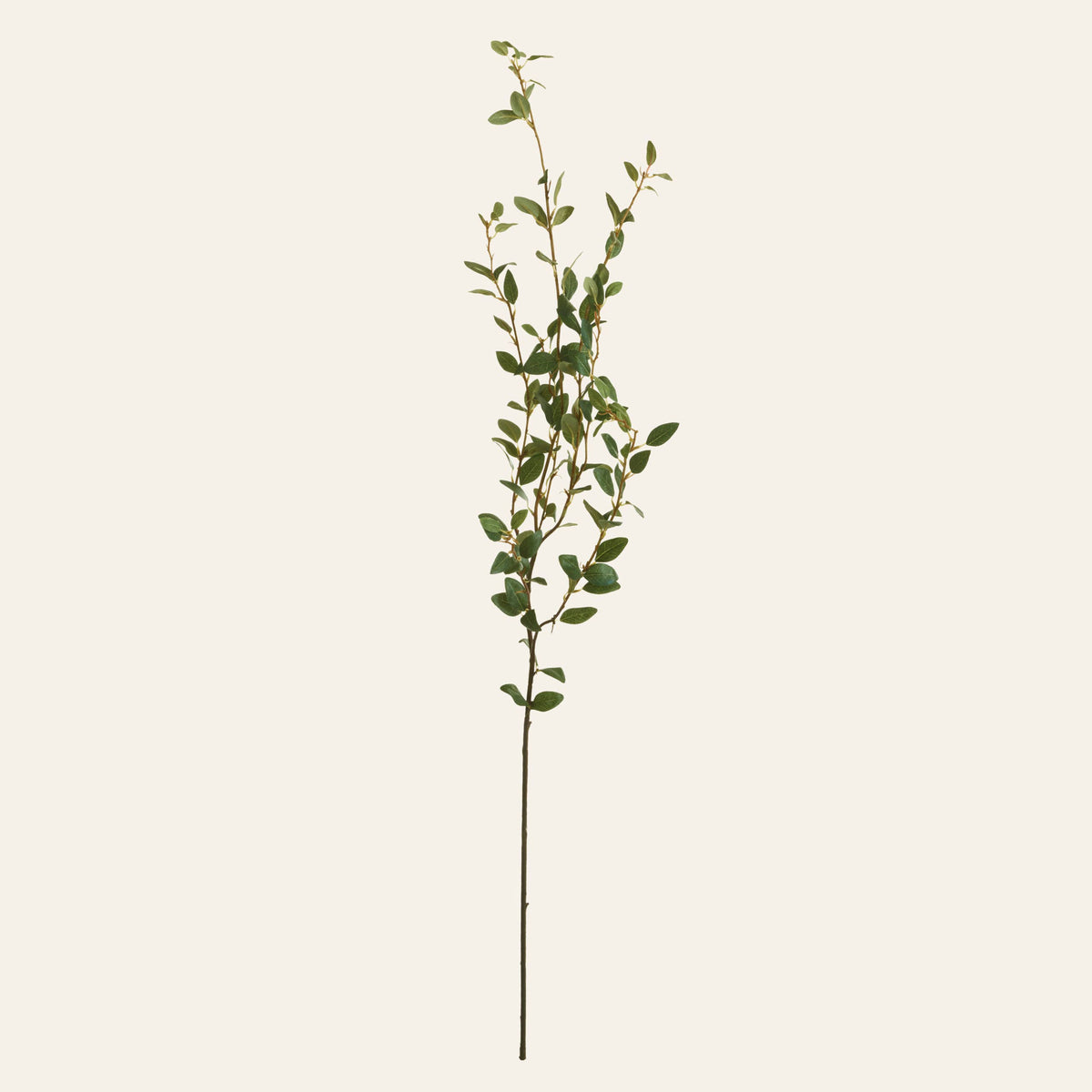 The Big Sur Willow Branch, 48" Faux Trailing Willow Stem