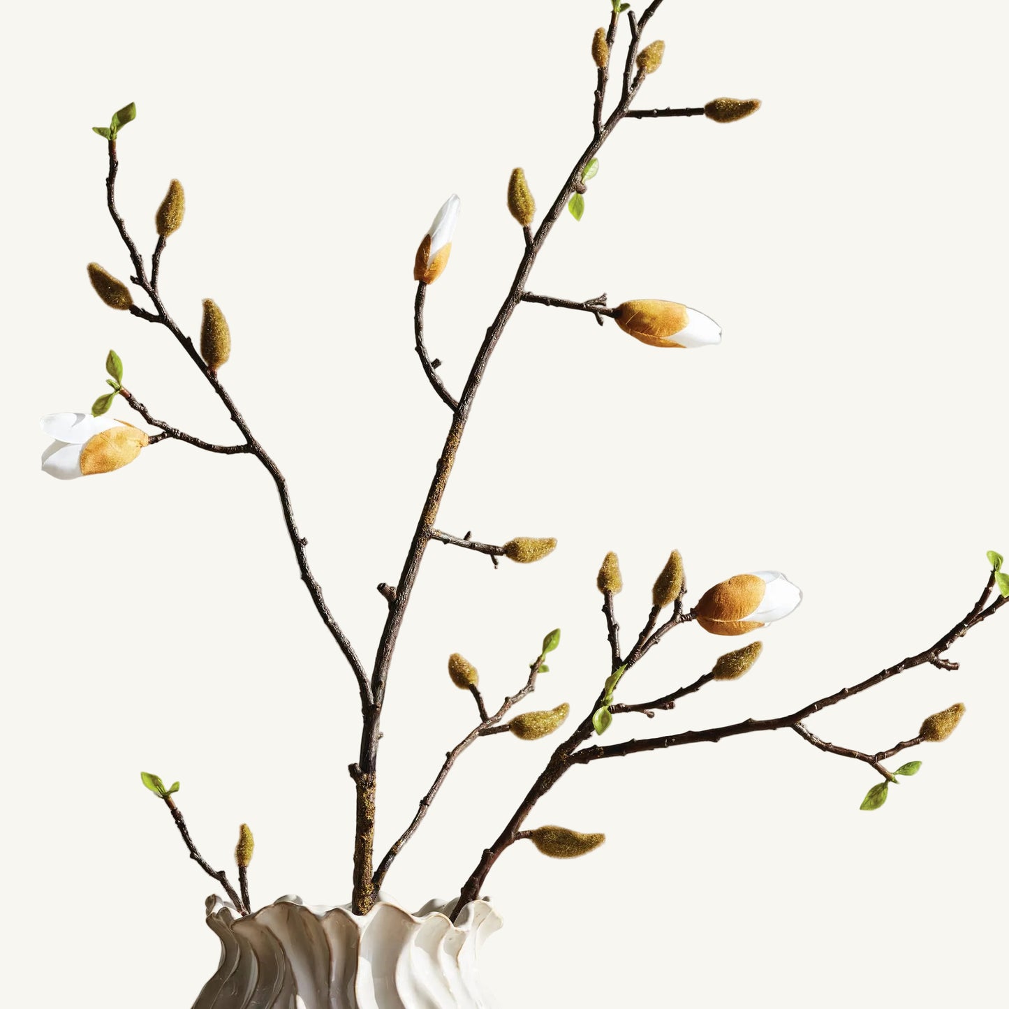 Magnolia Budding Branch