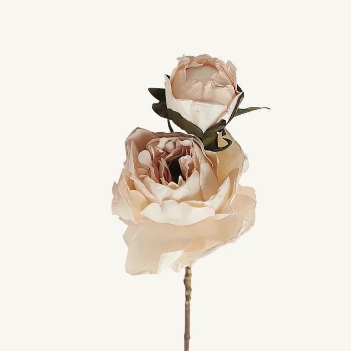 Peony Blush Stem