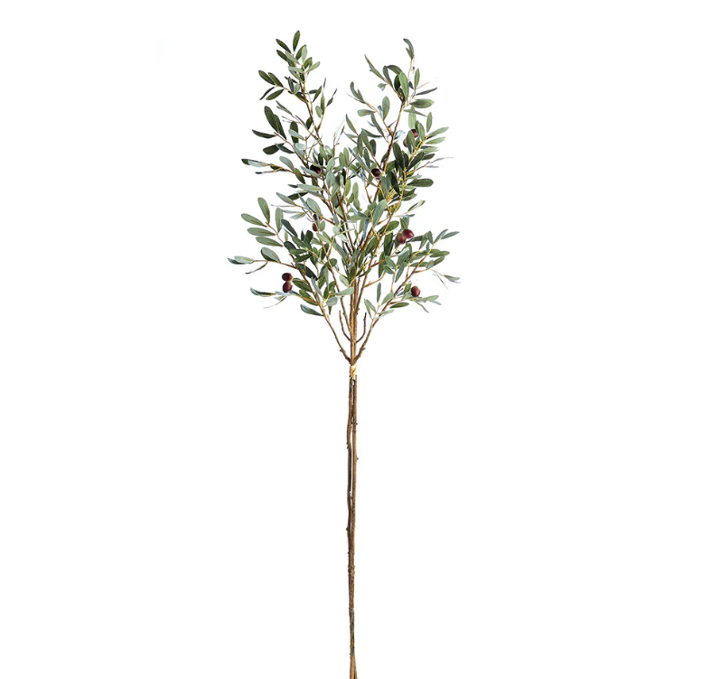 Olive Stem Bundle