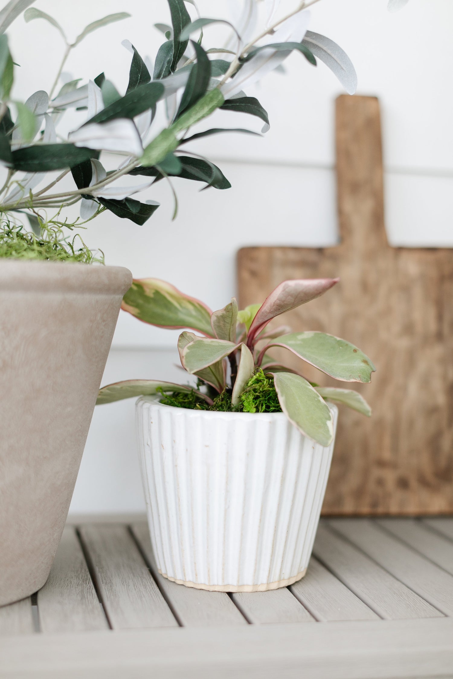 Planters & Pots