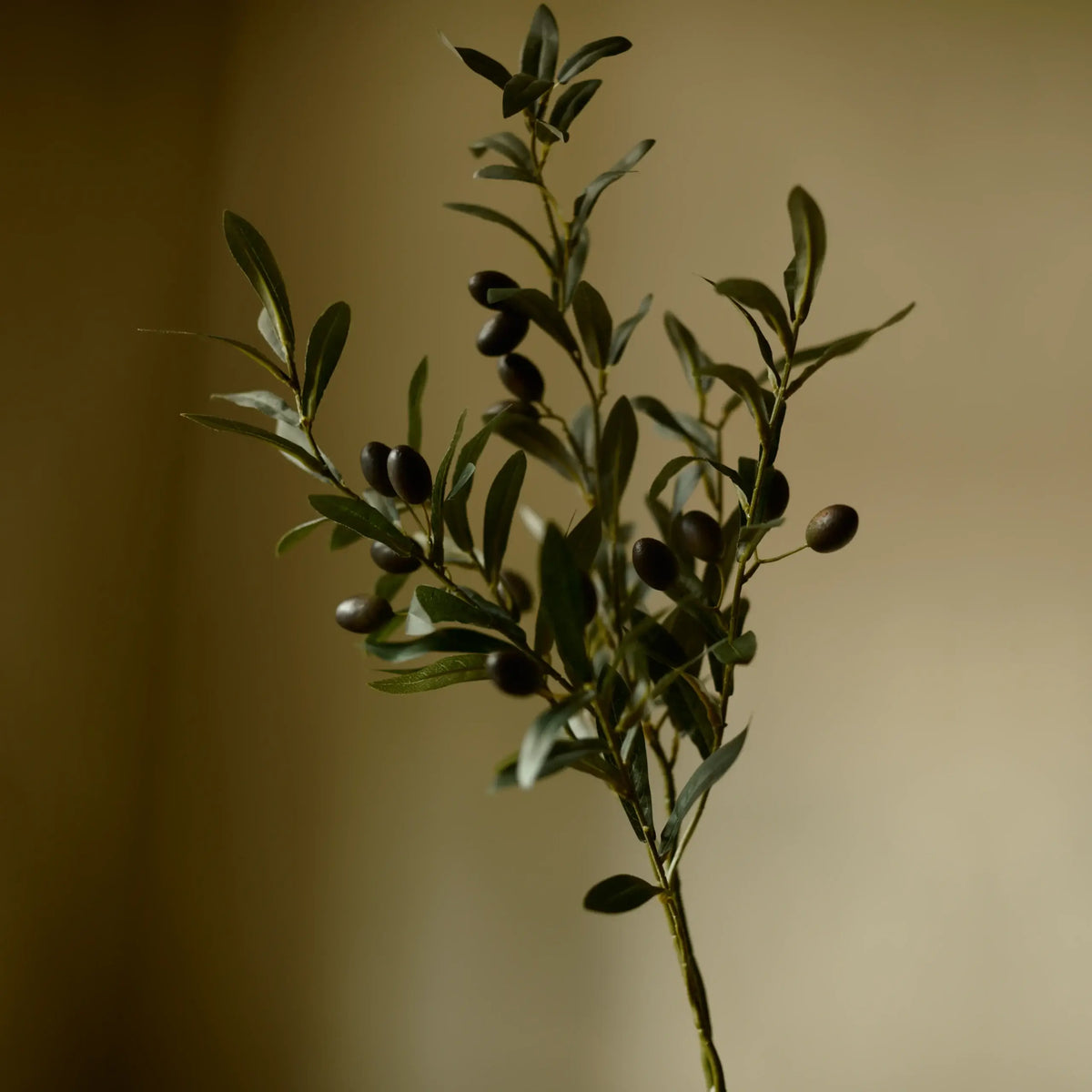 The Puglia Olive Branch, 31.5" Faux Olive Stem
