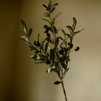 The Puglia Olive Branch, 31.5" Faux Olive Stem
