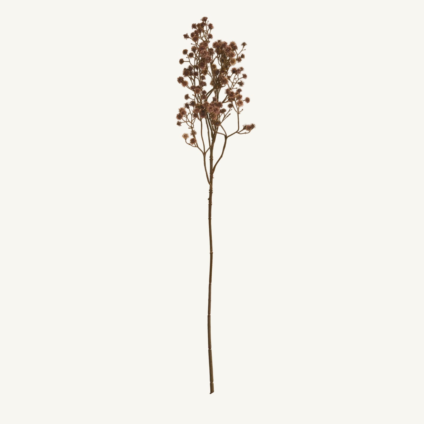 Dried Baby's Breath Branch