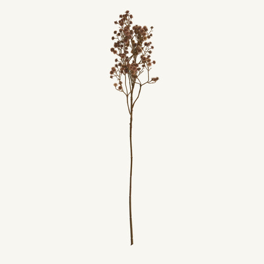 Dried Baby's Breath Branch