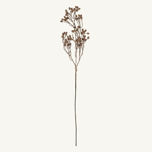 Dripping Dried Berry Branch