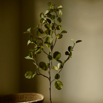 The Cascade Serviceberry Spray, 40" Faux Leafy Branch