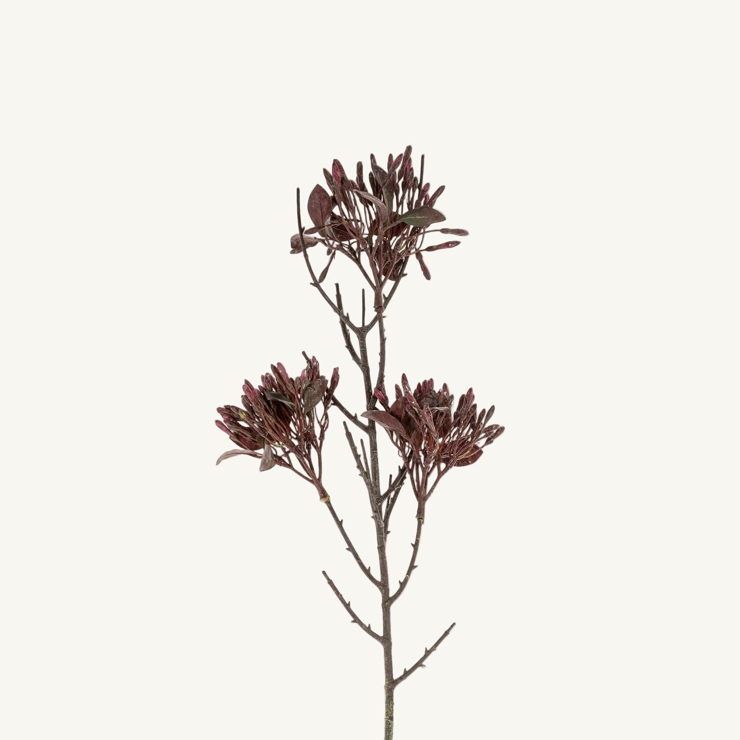 Wild Flower Spray