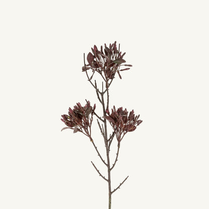 Wild Flower Spray
