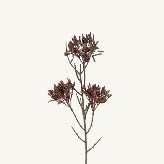 Wild Flower Spray