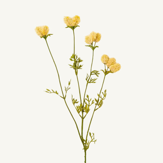 Dandelion Pom Pom Spray