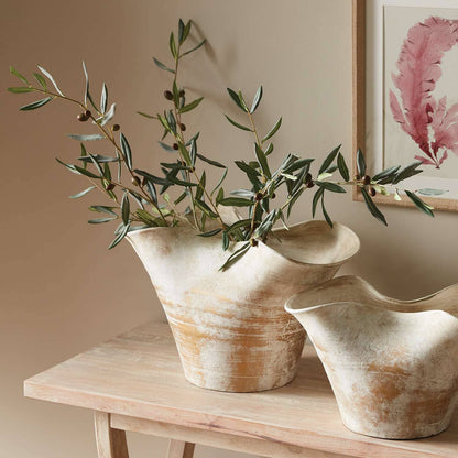 OLIVE STEMS