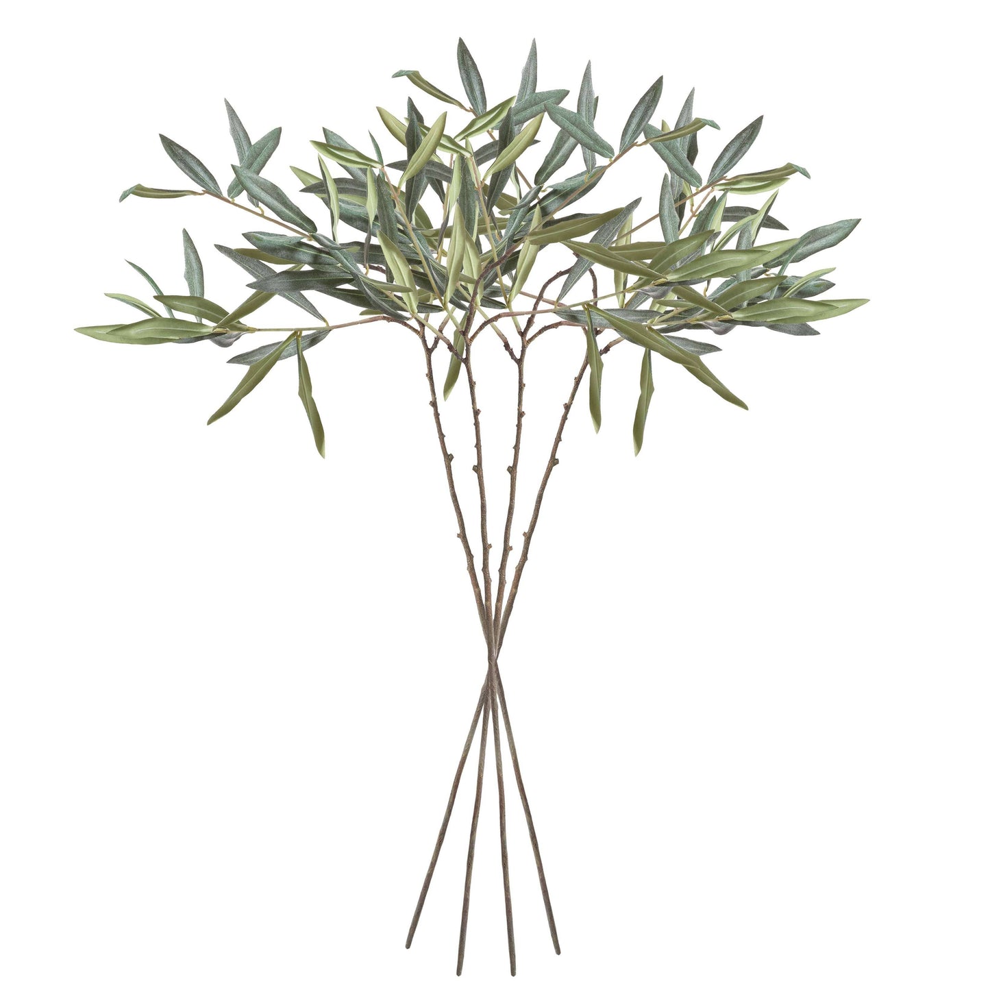 OLIVE STEMS