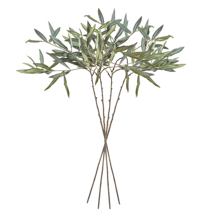 OLIVE STEMS