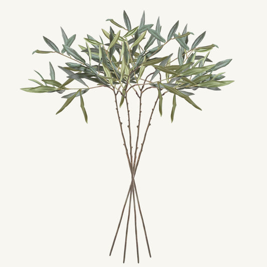 OLIVE STEMS