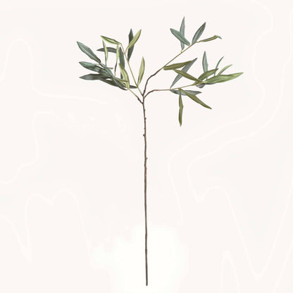 OLIVE STEMS
