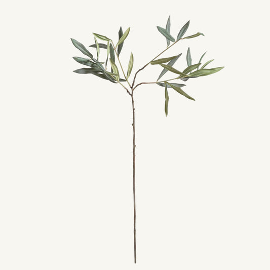 OLIVE STEMS