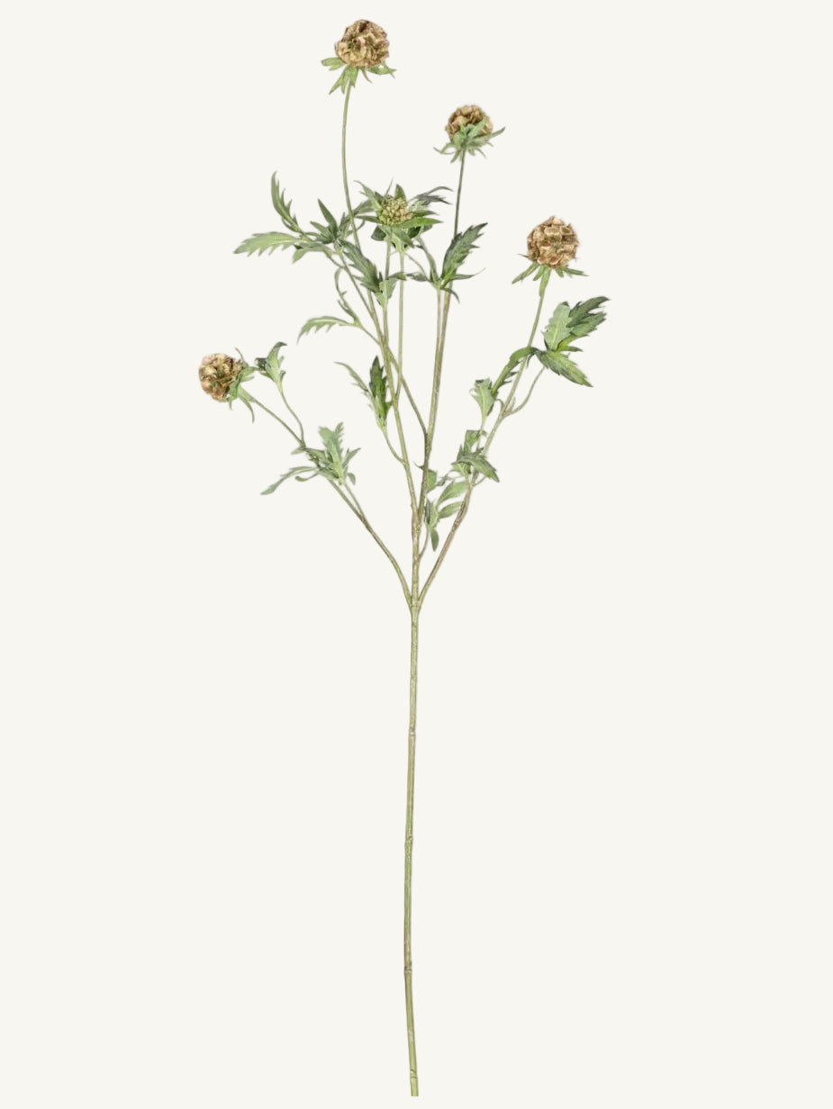 Artificial Scabiosa Pod Stem