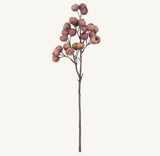 Artificial Hawthorn