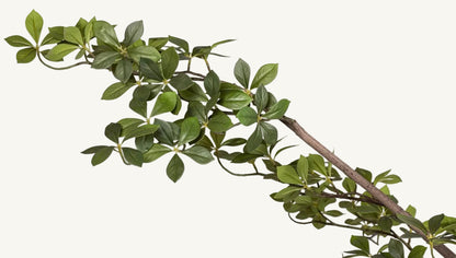 Artificial Gardenia Tree