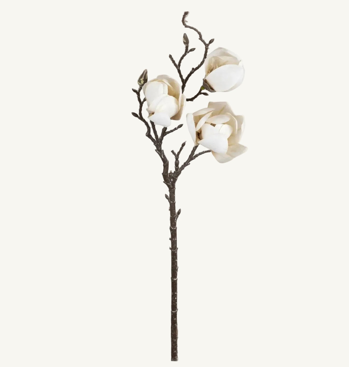 Artificial Magnolia