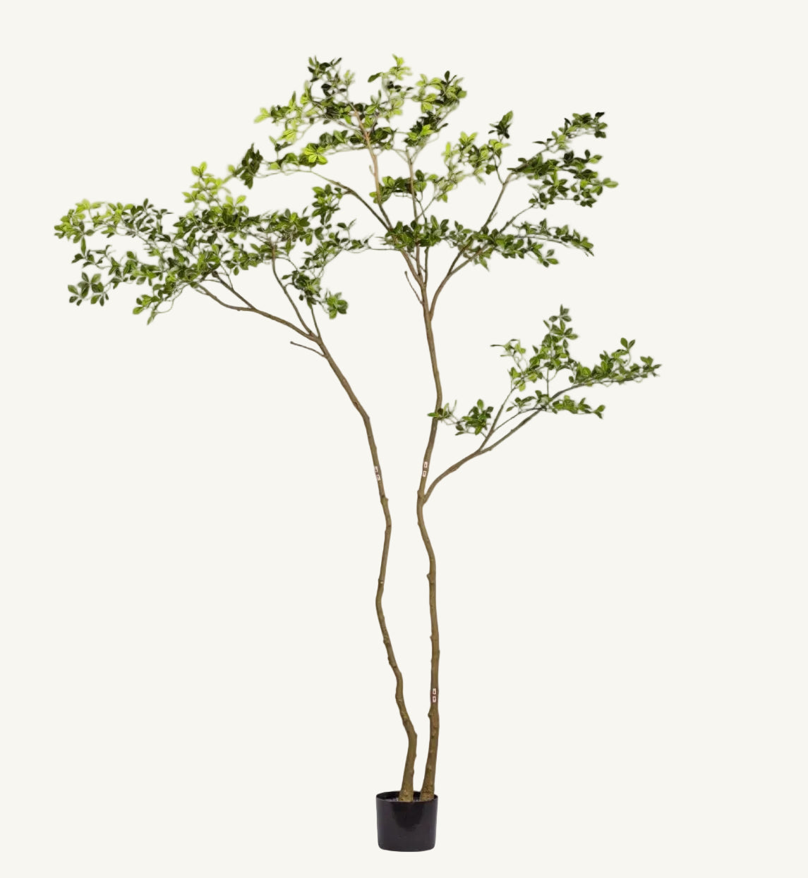 Artificial Gardenia Tree