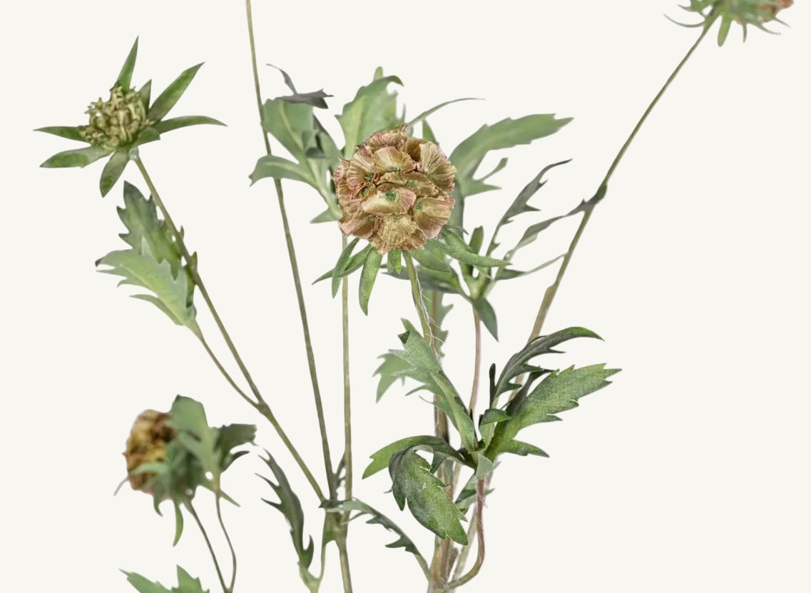 Artificial Scabiosa Pod Stem