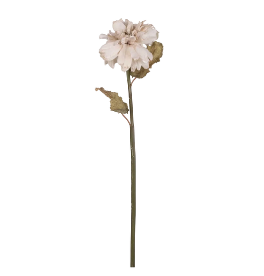 Blush Dahlia