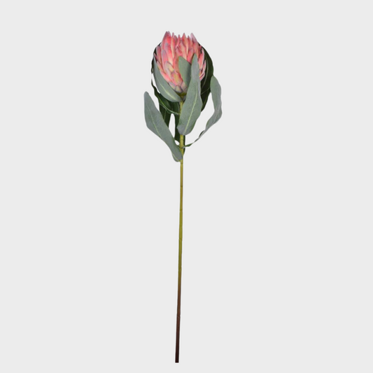 Queen Protea Spray