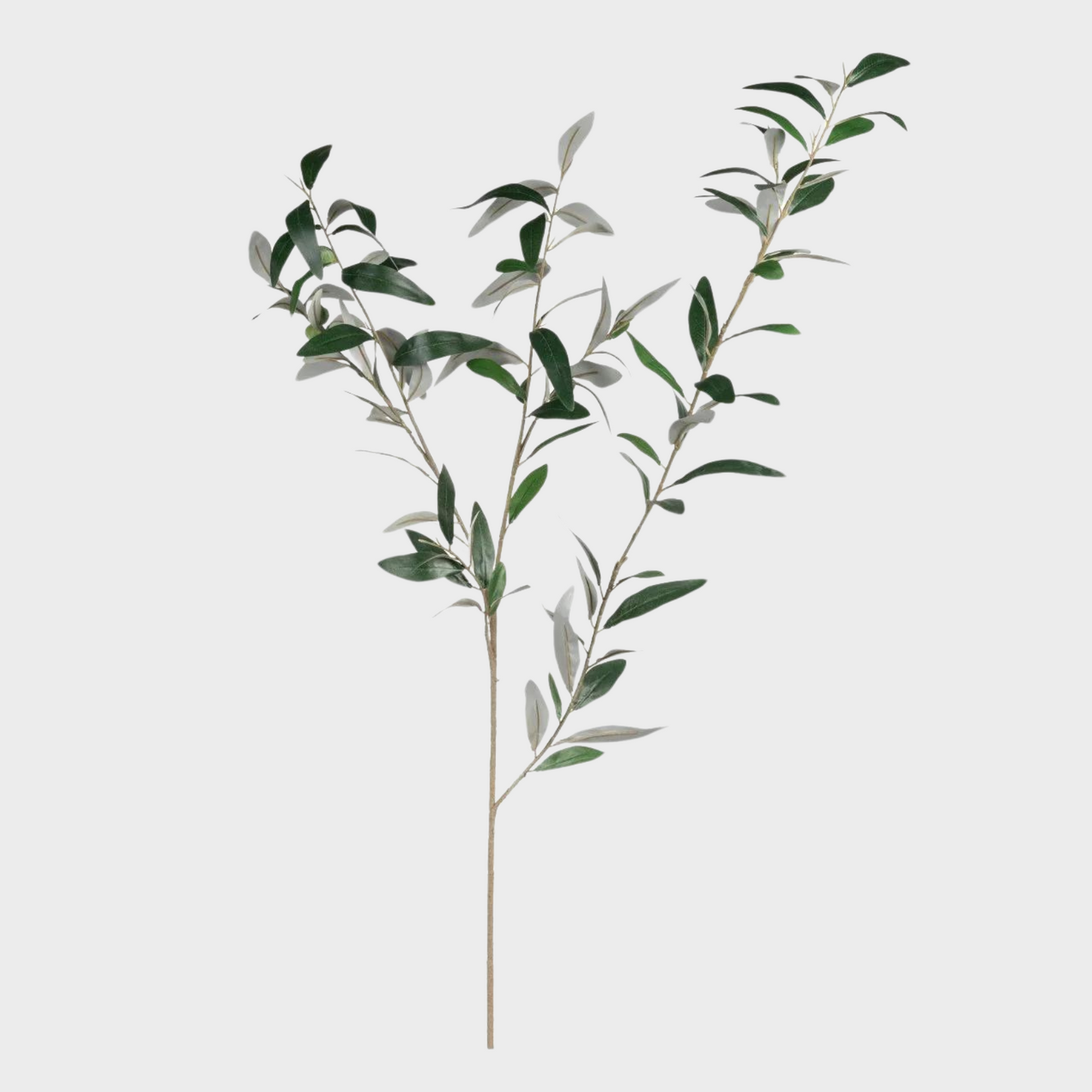 Olive Stem 45"