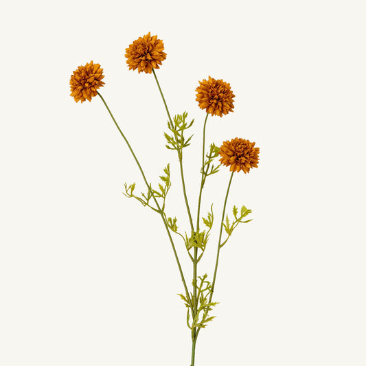 Mini Chrysanthemum