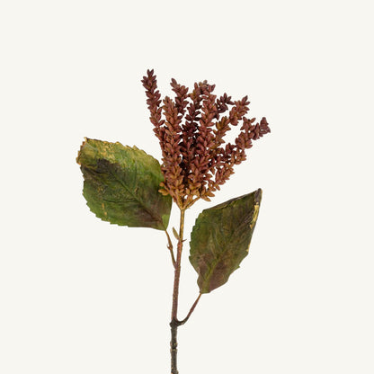 Dripping Seed Stem