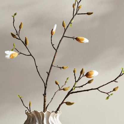Magnolia Budding Branch