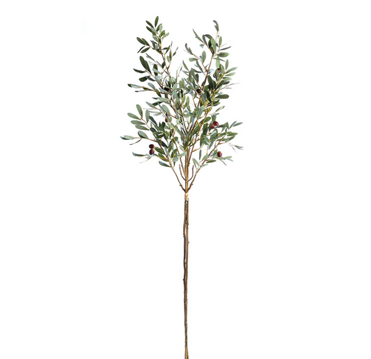 43" Olive Stem Bundle